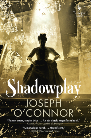 Cover image: Shadowplay 9781609455934