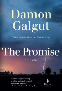 Cover image: The Promise 9781609456580