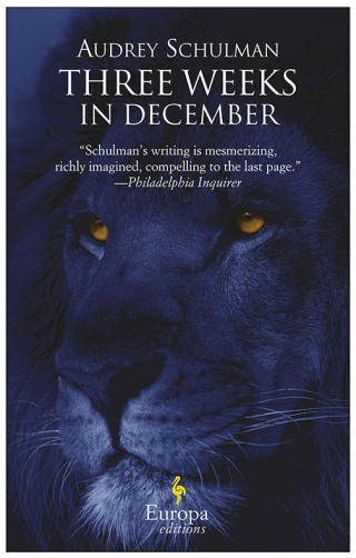 Titelbild: Three Weeks in December 9781609450649