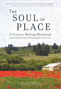 Cover image: The Soul of Place 9781609521035