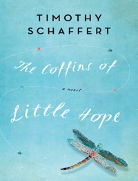 Cover image: The Coffins of Little Hope 9781609530686