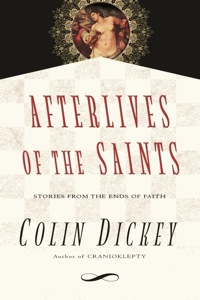 Immagine di copertina: Afterlives of the Saints 9781609530723