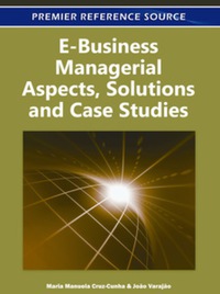 Cover image: E-Business Managerial Aspects, Solutions and Case Studies 9781609604639