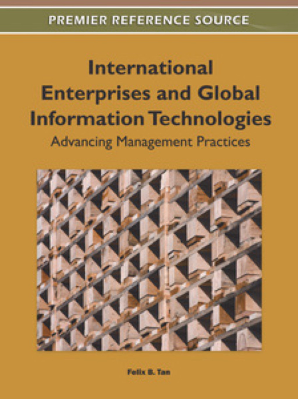 International Enterprises and Global Information Technologies: Advancing Management Practices Advancing Management Practices