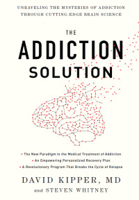 Cover image: The Addiction Solution 9781605292915