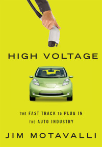 Cover image: High Voltage 9781605292632