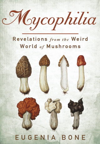 Cover image: Mycophilia 9781605294070