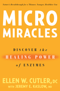 Cover image: MicroMiracles 9781594862212