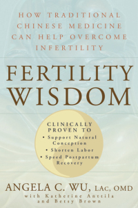 Cover image: Fertility Wisdom 9781594861376