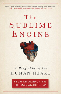 Cover image: The Sublime Engine 9781609613792