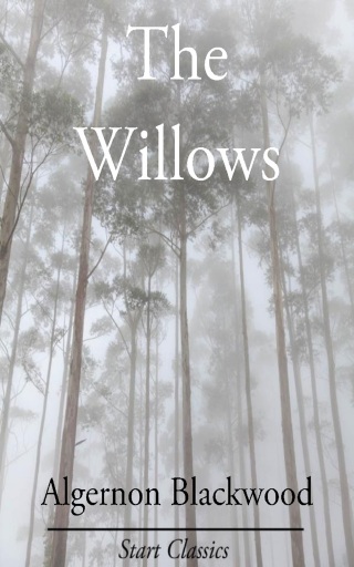 Cover image: The Willows 9780359940066