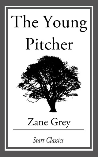 Cover image: The Young Pitcher 9781636370958