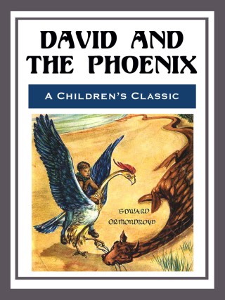 Cover image: David and the Phoenix - Illustrated 9781930900585.0