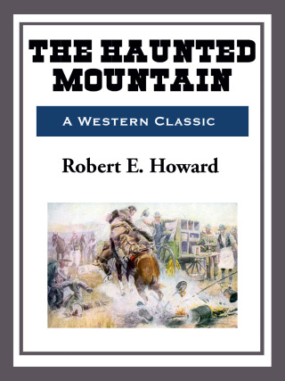 Cover image: The Haunted Mountain 9781473323209.0