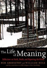 Cover image: The Life of Meaning 9781583228296