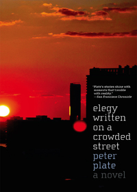 Cover image: Elegy Written on a Crowded Street 9781583229316