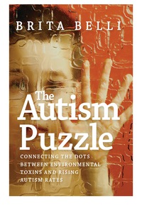 Cover image: The Autism Puzzle 9781609803919