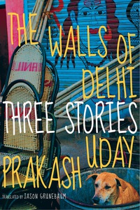 Cover image: The Walls of Delhi 9781609805289