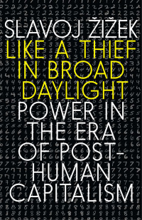 Cover image: Like a Thief in Broad Daylight 9781609809751