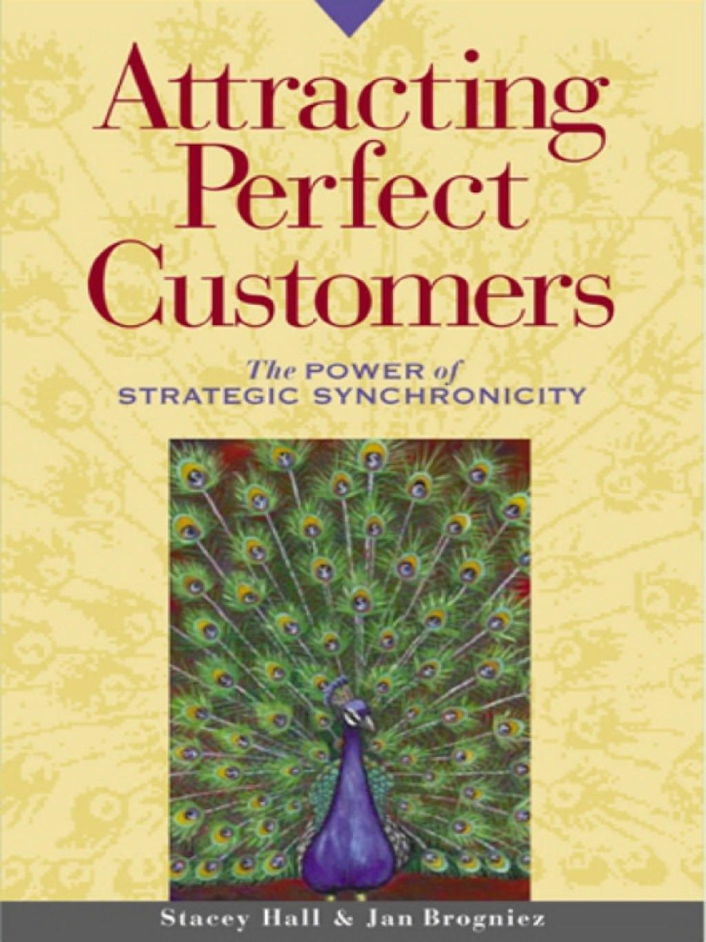 Attracting Perfect Customers The Power of Strategic Synchronicity 1st Edition