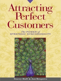 Cover image: Attracting Perfect Customers 9781576751244