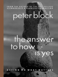 Cover image: The Answer to How Is Yes: Acting on What Matters 1st edition 9781576752715