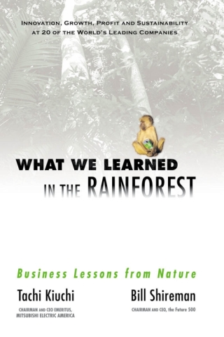 Cover image: What We Learned in the Rainforest 1st edition 9781576751275