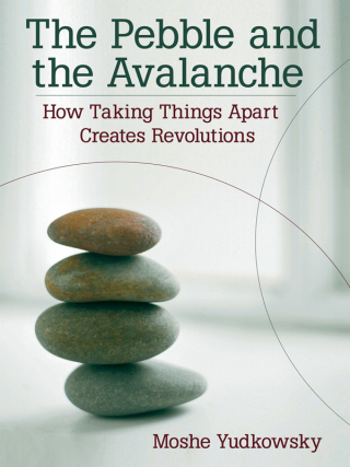 Cover image: The Pebble and the Avalanche 1st edition 9781576752944
