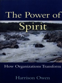 Cover image: The Power of Spirit: How Organizations Transform 9781576750902