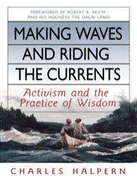 Cover image: Making Waves and Riding the Currents: Activism and the Practice of Wisdom 9781576754429