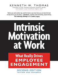 Cover image: Intrinsic Motivation at Work 2nd edition 9781576755679