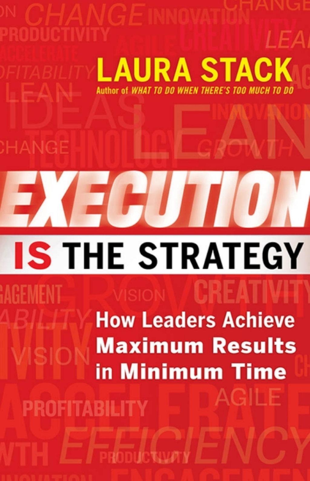 Execution IS the Strategy: How Leaders Achieve Maximum Results in Minimum Time 1st Edition