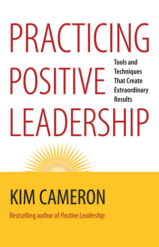 Cover image: Practicing Positive Leadership 1st edition 9781609949723