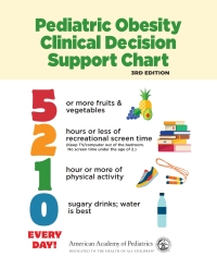 Omslagafbeelding: 5210 Pediatric Obesity Clinical Decision Support Chart 3rd edition 9781610023542