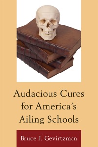 Imagen de portada: Audacious Cures for America's Ailing Schools 9781610484145