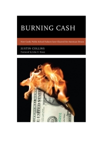 صورة الغلاف: Burning Cash 9781610485289
