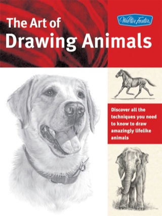 Cover image: Art of Drawing Animals 9781600581304