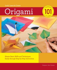 Imagen de portada: Origami 101 9781589236066