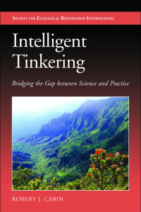 Cover image: Intelligent Tinkering 9781597269643