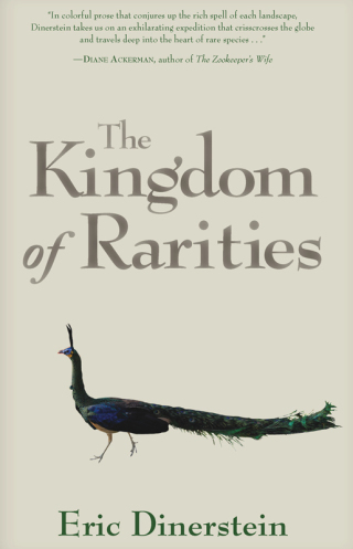 Cover image: The Kingdom of Rarities 9781610911955