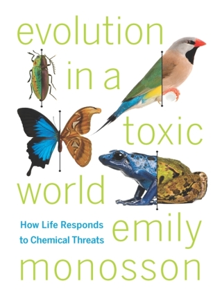 Imagen de portada: Evolution in a Toxic World 9781597269773