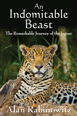 Cover image: An Indomitable Beast 9781597269971