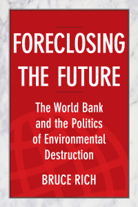 Cover image: Foreclosing the Future 9781610911849