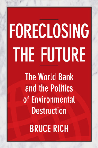 Imagen de portada: Foreclosing the Future 9781610911849