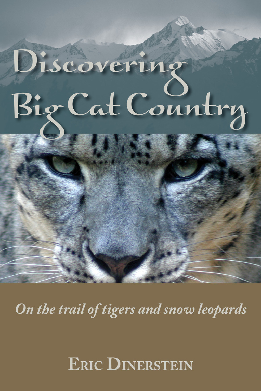 Discovering Big Cat Country On the trail of tigers and snow leopards