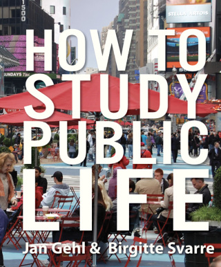 Cover image: How to Study Public Life 9781610914239