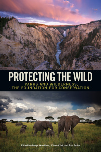 Cover image: Protecting the Wild 9781610915489