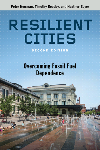 Imagen de portada: Resilient Cities, Second Edition 9781610916851