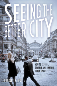 Cover image: Seeing the Better City 9781610917742