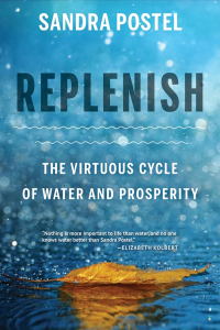 Cover image: Replenish 9781642830101